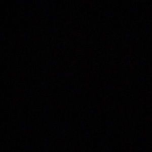 Meet your Posher, Bruce